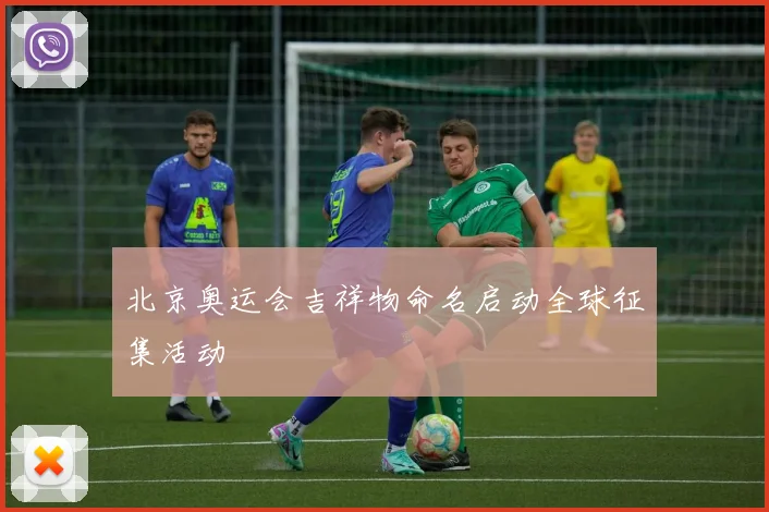 北京奥运会吉祥物命名启动全球征集活动
