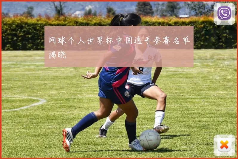 网球个人世界杯中国选手参赛名单揭晓