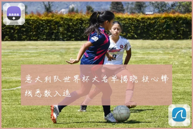 意大利队世界杯大名单揭晓 核心锋线悉数入选
