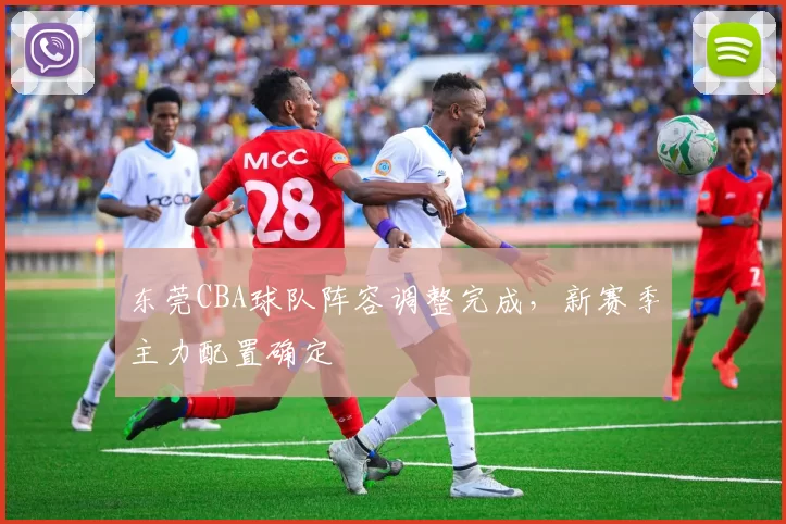 东莞CBA球队阵容调整完成，新赛季主力配置确定