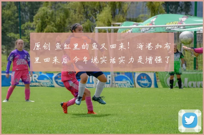 原创 鱼缸里的鱼又回来！海港加布里回来后 今年说实话实力是增强了